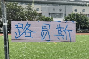 九游娱乐app下载-申花也是找到真正桑巴节奏！拉唐比米内罗+路易斯更像是巴西人